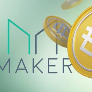 MakerDAO một trong những giao thức DeFi đầu tiên